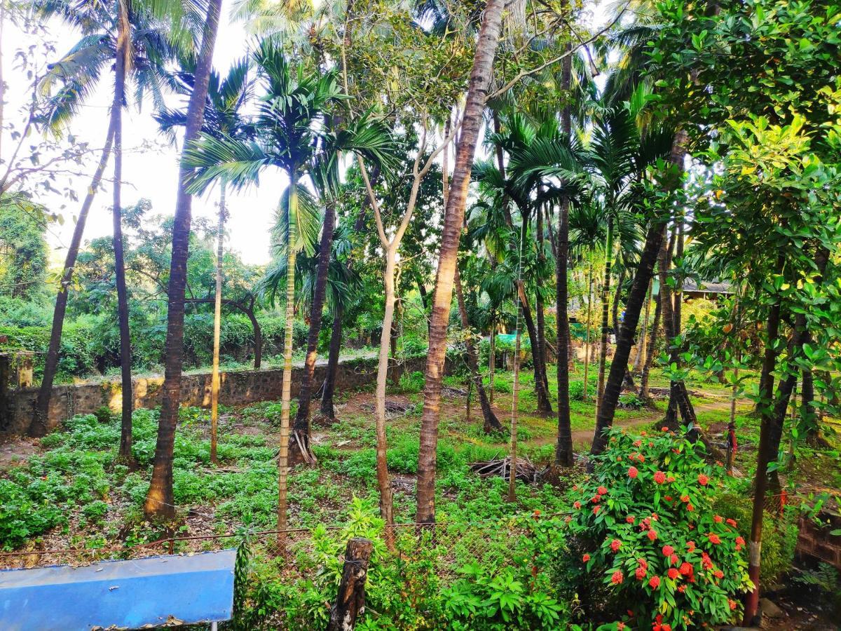 Ashish Baug Cottage Alibag Bagian luar foto