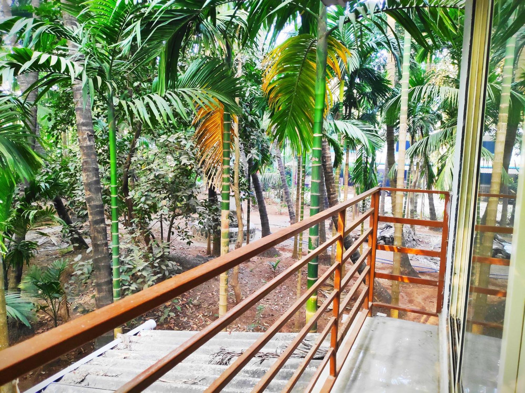 Ashish Baug Cottage Alibag Ruang foto